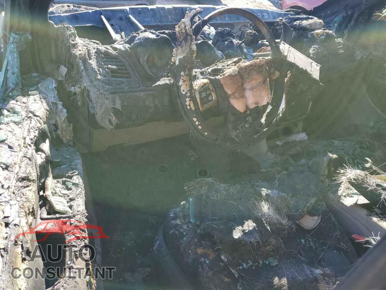 DODGE CARAVAN 2011 - 2D4RN5DG9BR710197