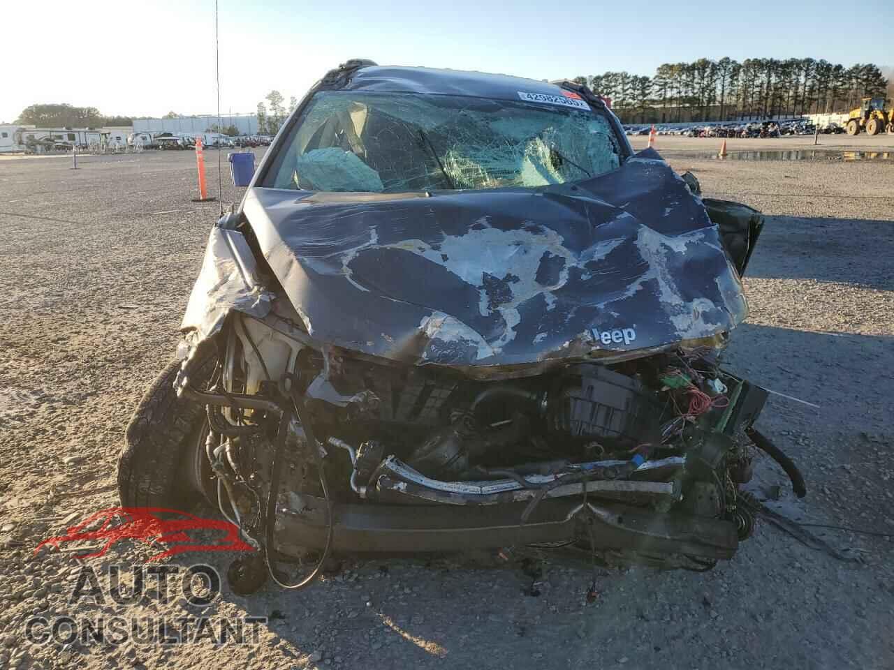 JEEP COMPASS 2016 - 1C4NJDEBXGD542097