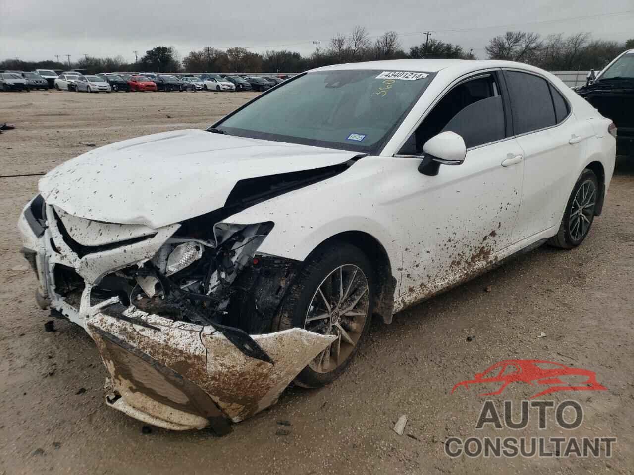TOYOTA CAMRY 2024 - 4T1G11AKXRU886458