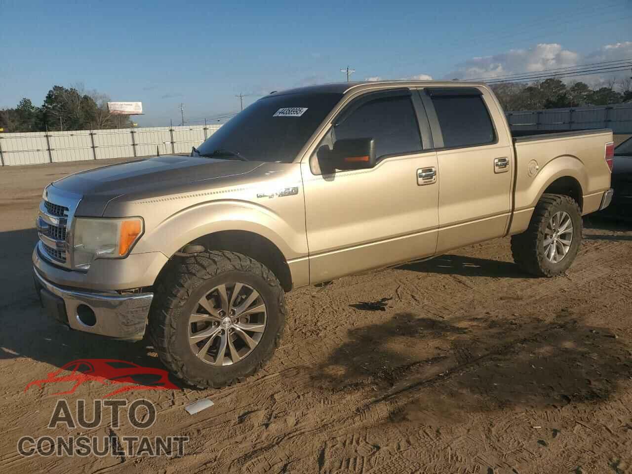 FORD F-150 2013 - 1FTFW1CF5DFD62259