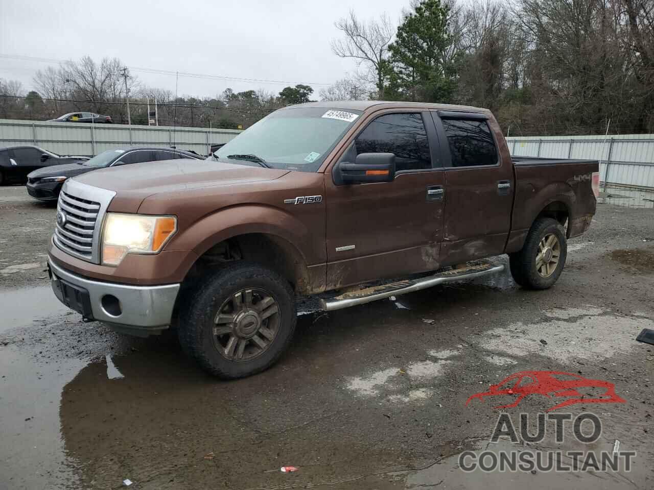 FORD F-150 2011 - 1FTFW1ET0BFB29339