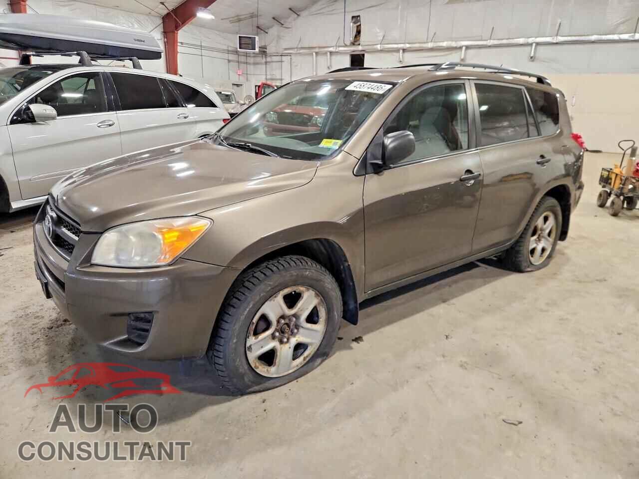 TOYOTA RAV4 2011 - 2T3BF4DV4BW159638