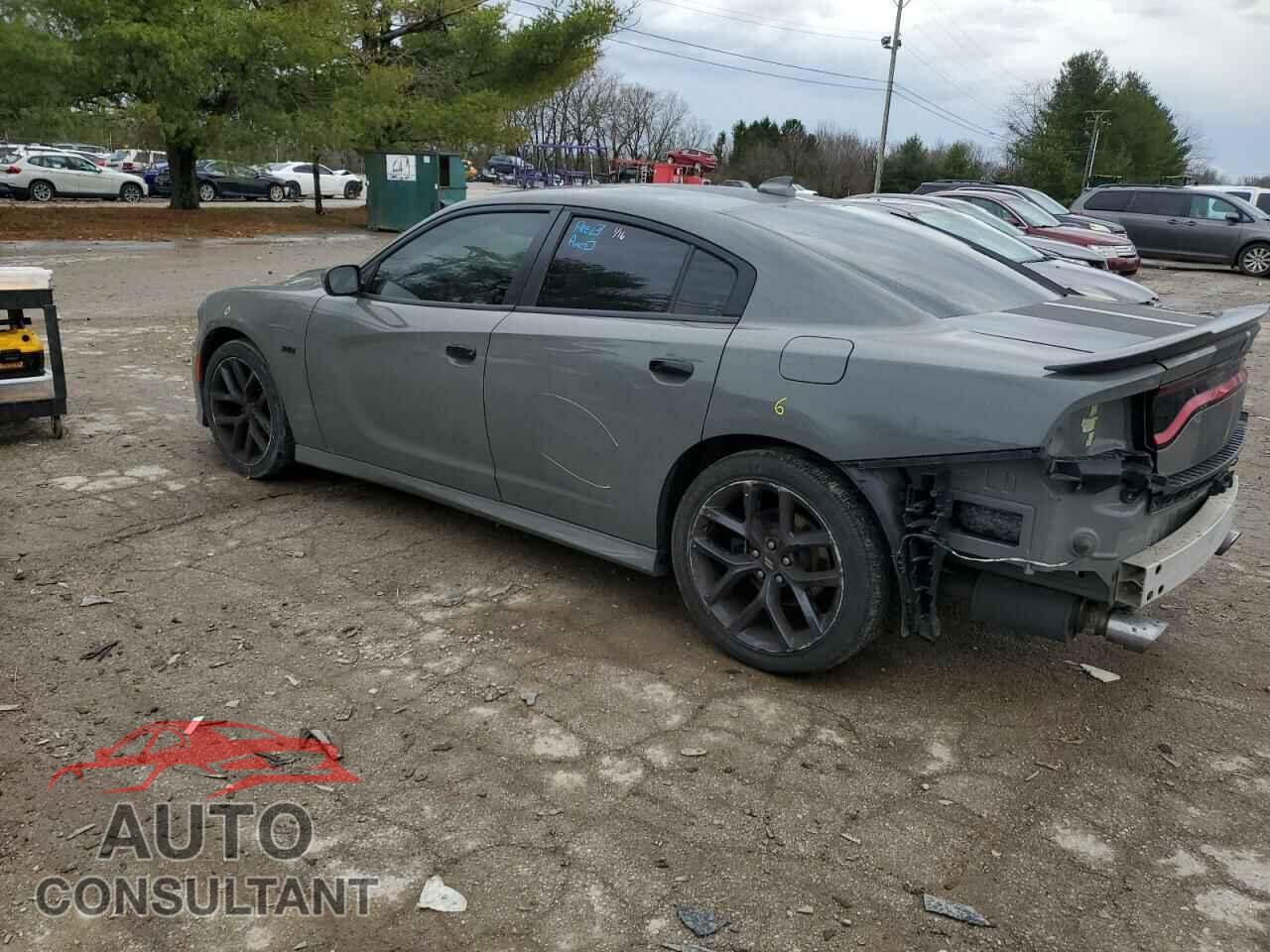DODGE CHARGER 2019 - 2C3CDXCT2KH549993