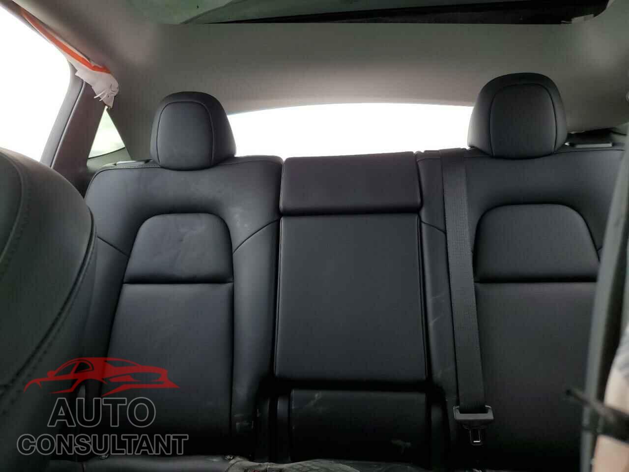 TESLA MODEL Y 2024 - 7SAYGDEE2RF124380