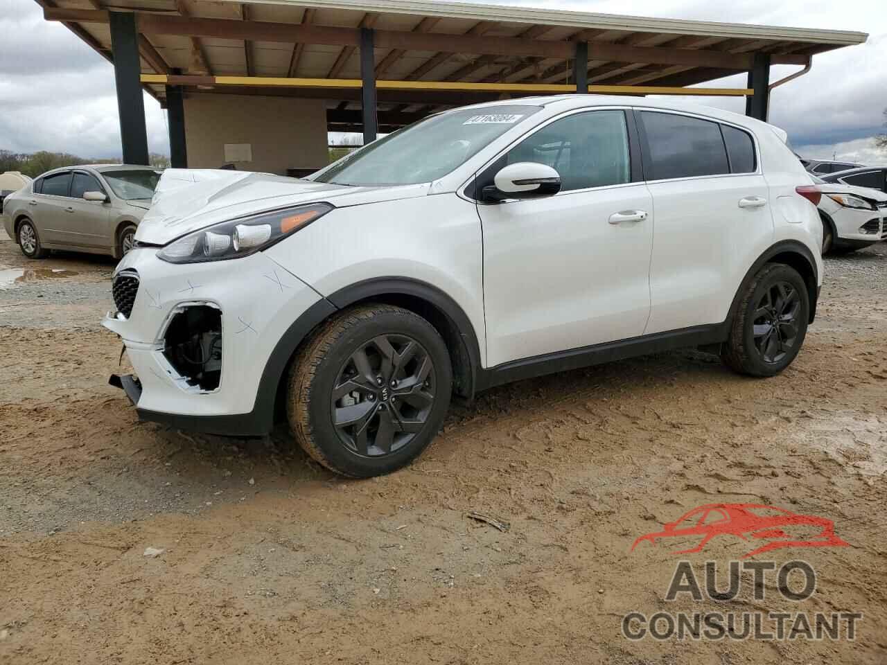 KIA SPORTAGE 2022 - KNDPM3AC2N7019290