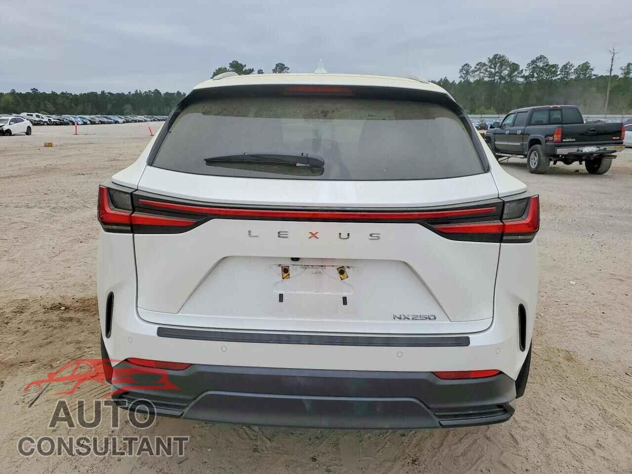 LEXUS UNKNOWN 2023 - 2T2GDCAZ9PC005596