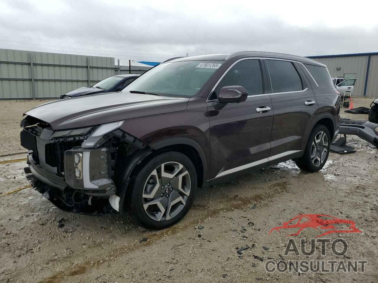 HYUNDAI PALISADE 2024 - KM8R54GE8RU743685