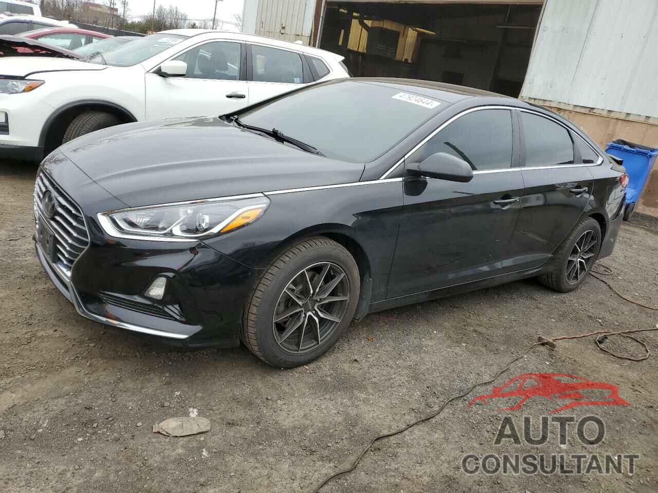 HYUNDAI SONATA 2019 - 5NPE24AF9KH796151