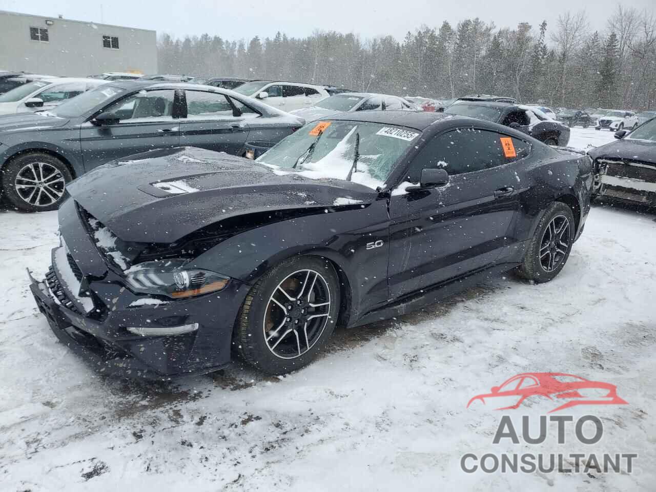 FORD MUSTANG 2023 - 1FA6P8CF3P5305354