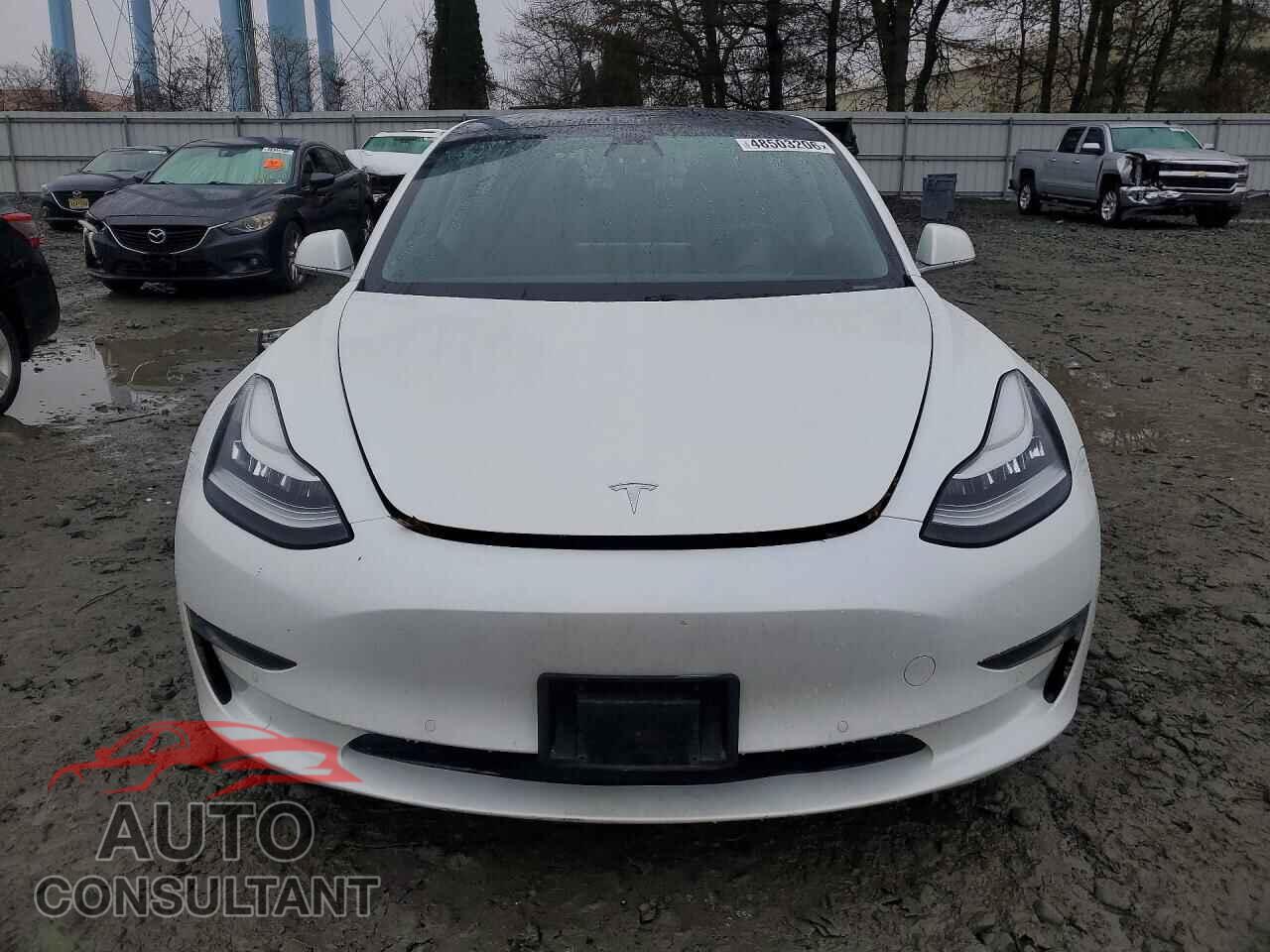 TESLA MODEL 3 2019 - 5YJ3E1EA9KF401430