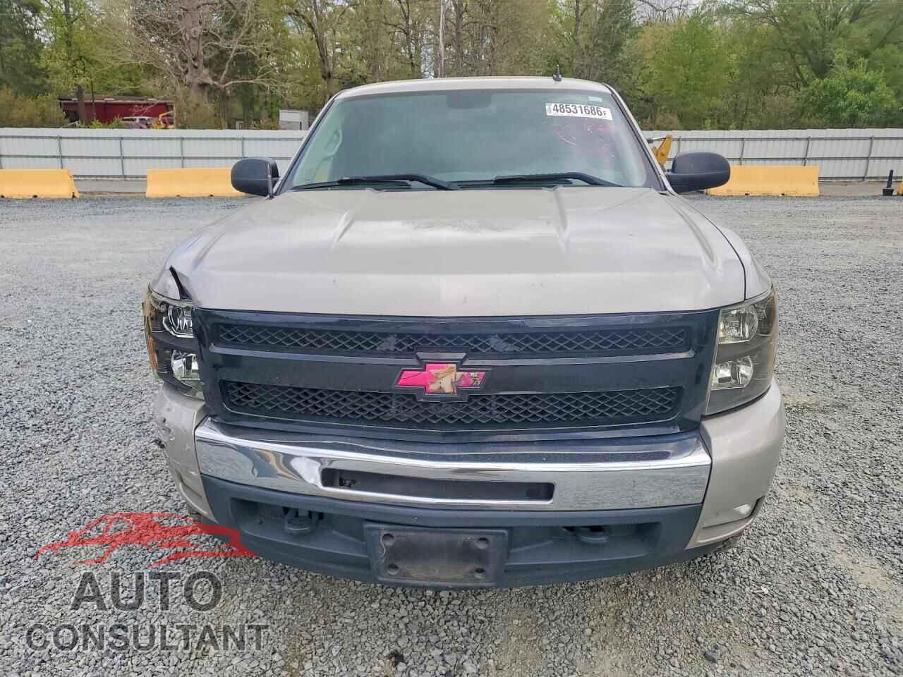 CHEVROLET SILVERADO 2009 - 2GCEC29C391100276