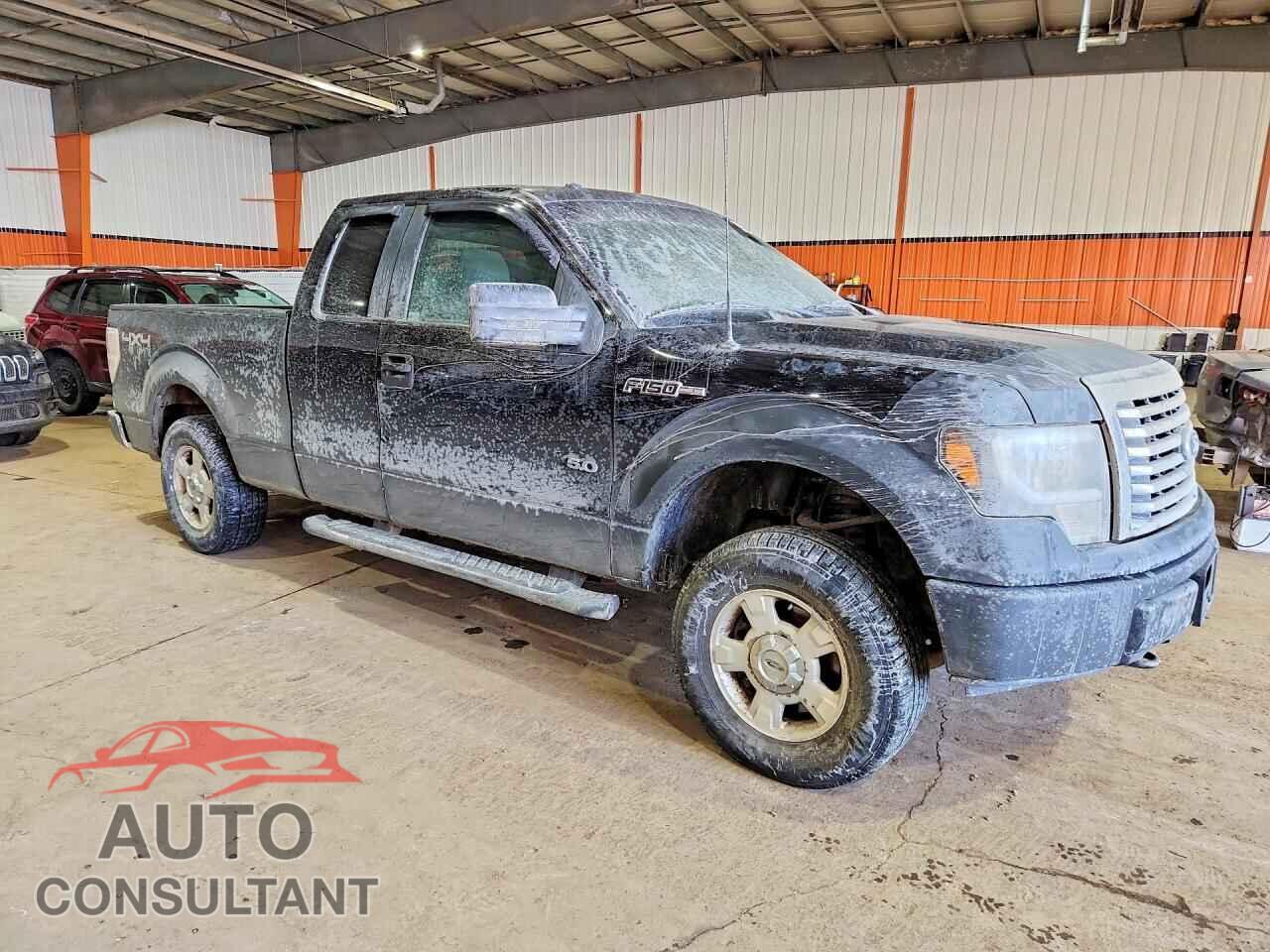 FORD F150 2011 - 1FTFX1EF7BFC21880