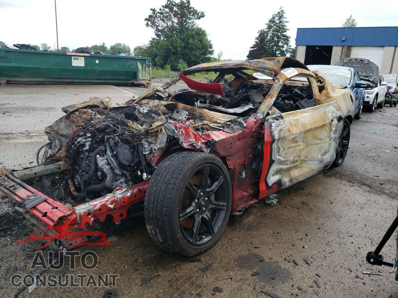 FORD MUSTANG 2019 - 1FA6P8CF3K5178100