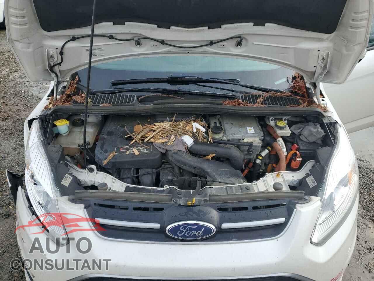FORD CMAX 2017 - 1FADP5EU2HL106018