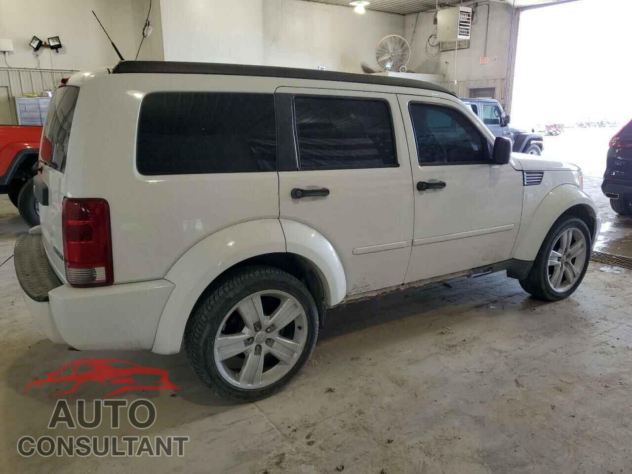 DODGE NITRO 2011 - 1D4PT4GK4BW567965