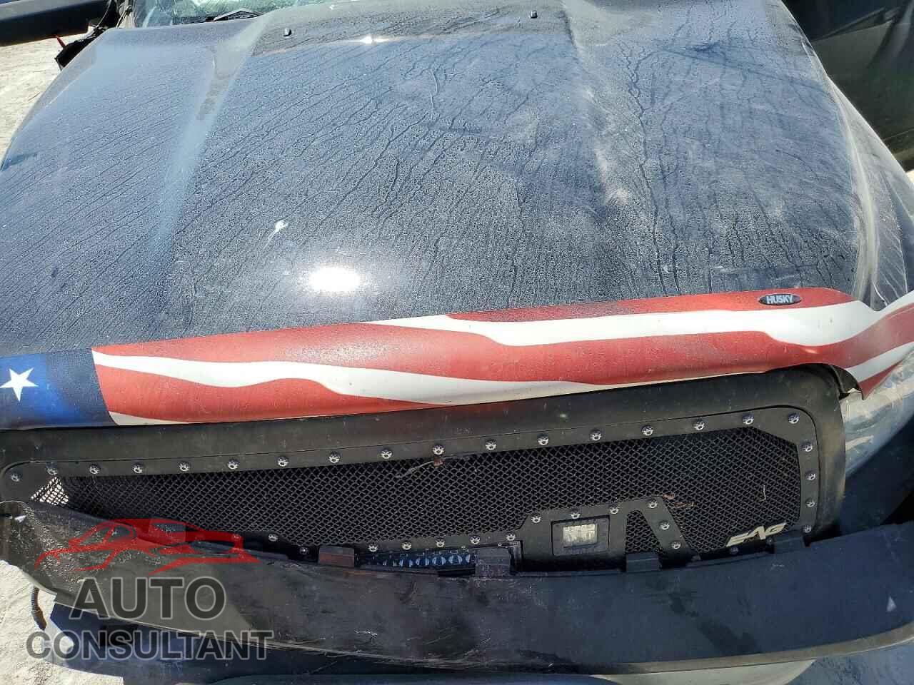 DODGE RAM 1500 2011 - 1D7RB1GP3BS538196