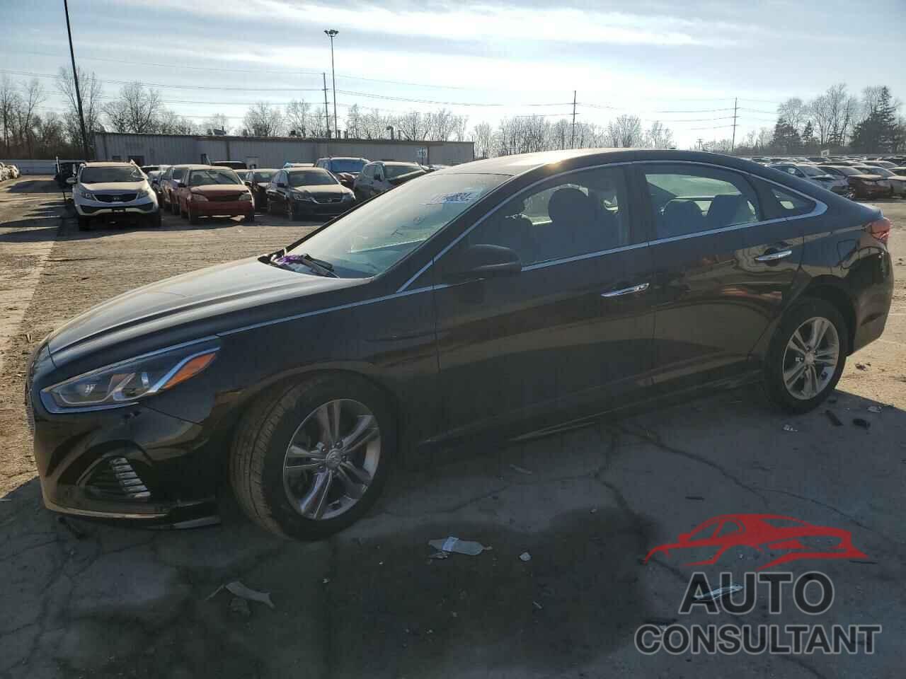 HYUNDAI SONATA 2019 - 5NPE34AF8KH794744
