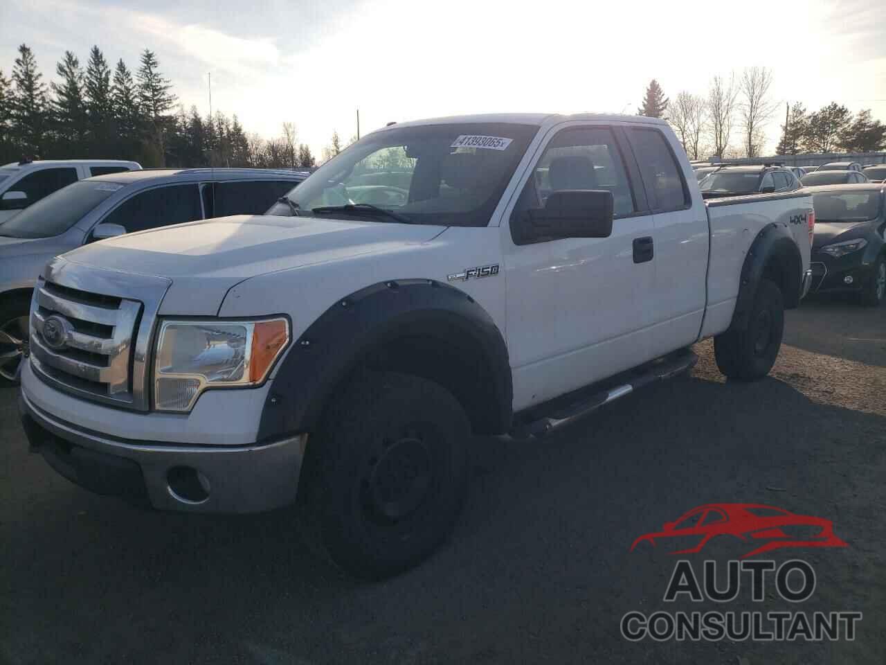 FORD F-150 2009 - 1FTRX14889FA48512