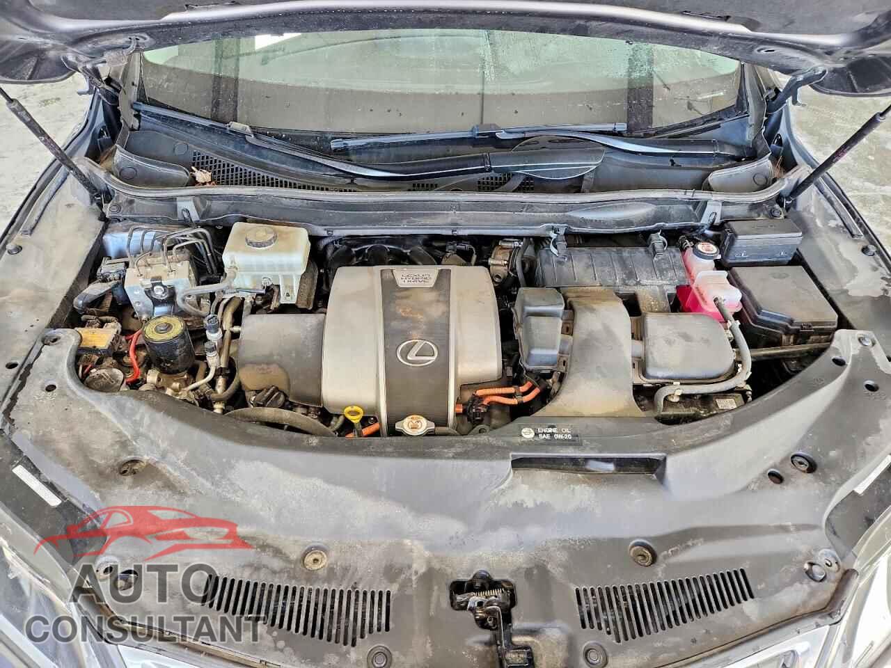 LEXUS RX450 2021 - 2T2HGMDA2MC058675