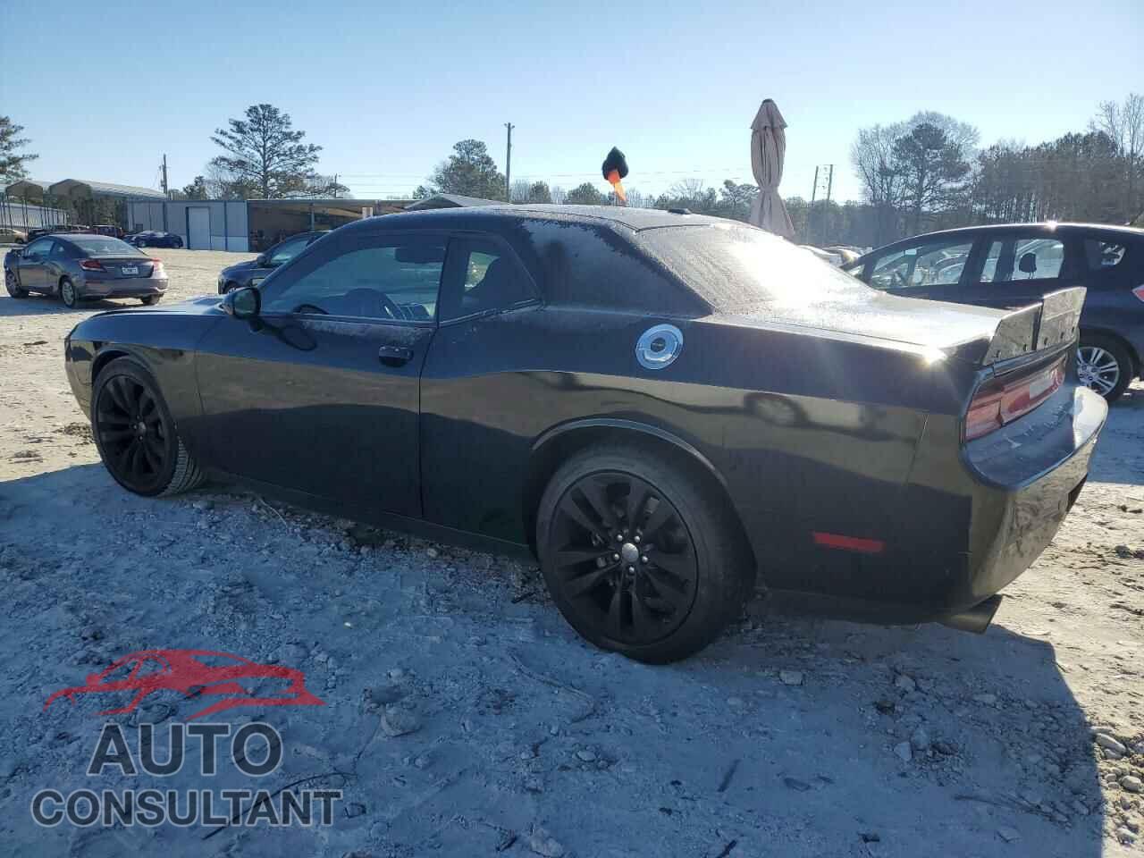 DODGE CHALLENGER 2014 - 2C3CDYDJ1EH115541