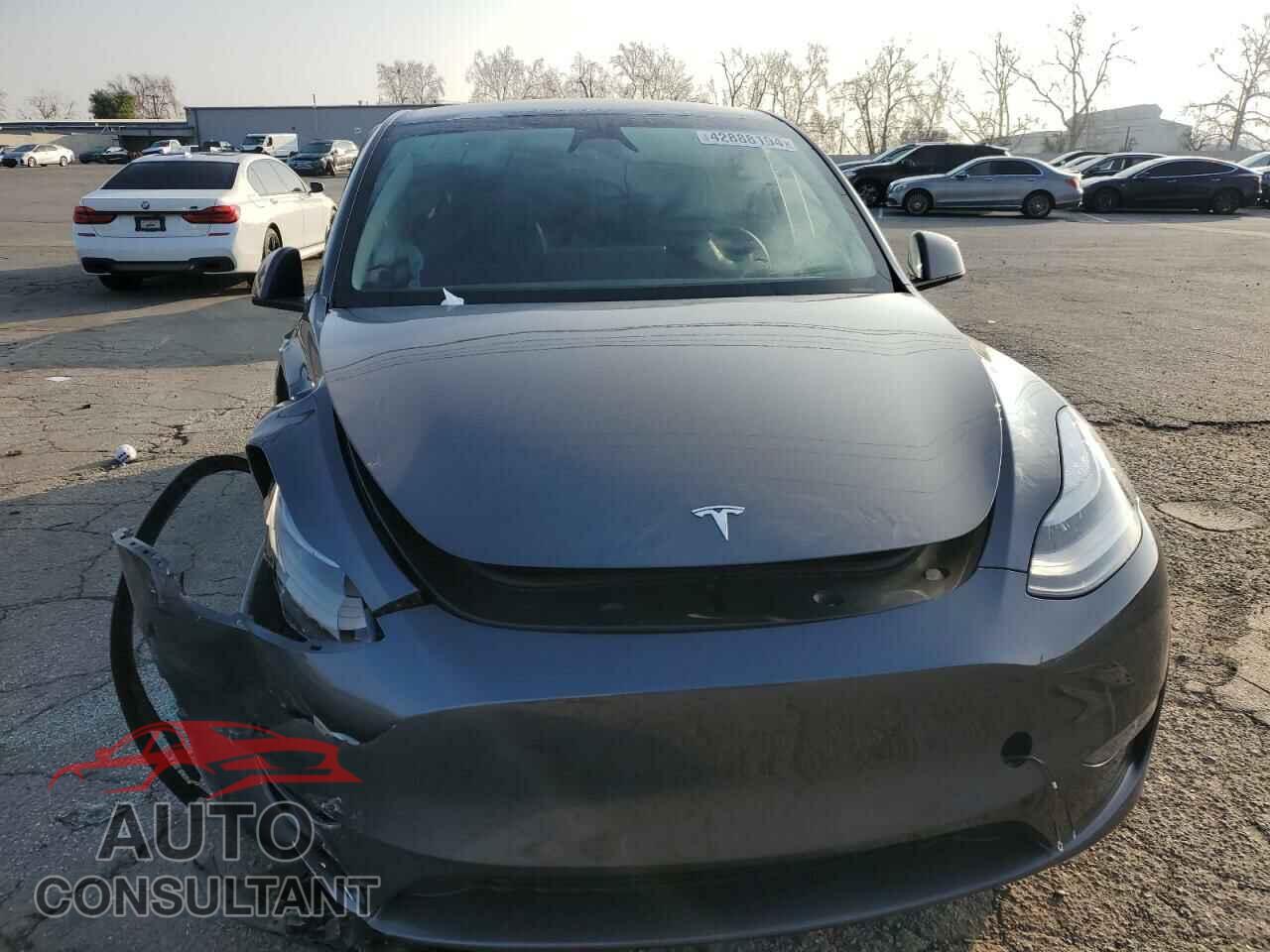 TESLA MODEL Y 2023 - 7SAYGAEE9PF966807