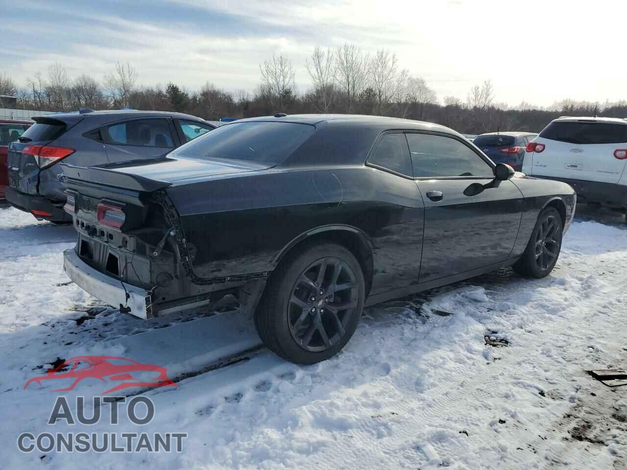 DODGE CHALLENGER 2023 - 2C3CDZAG9PH507667