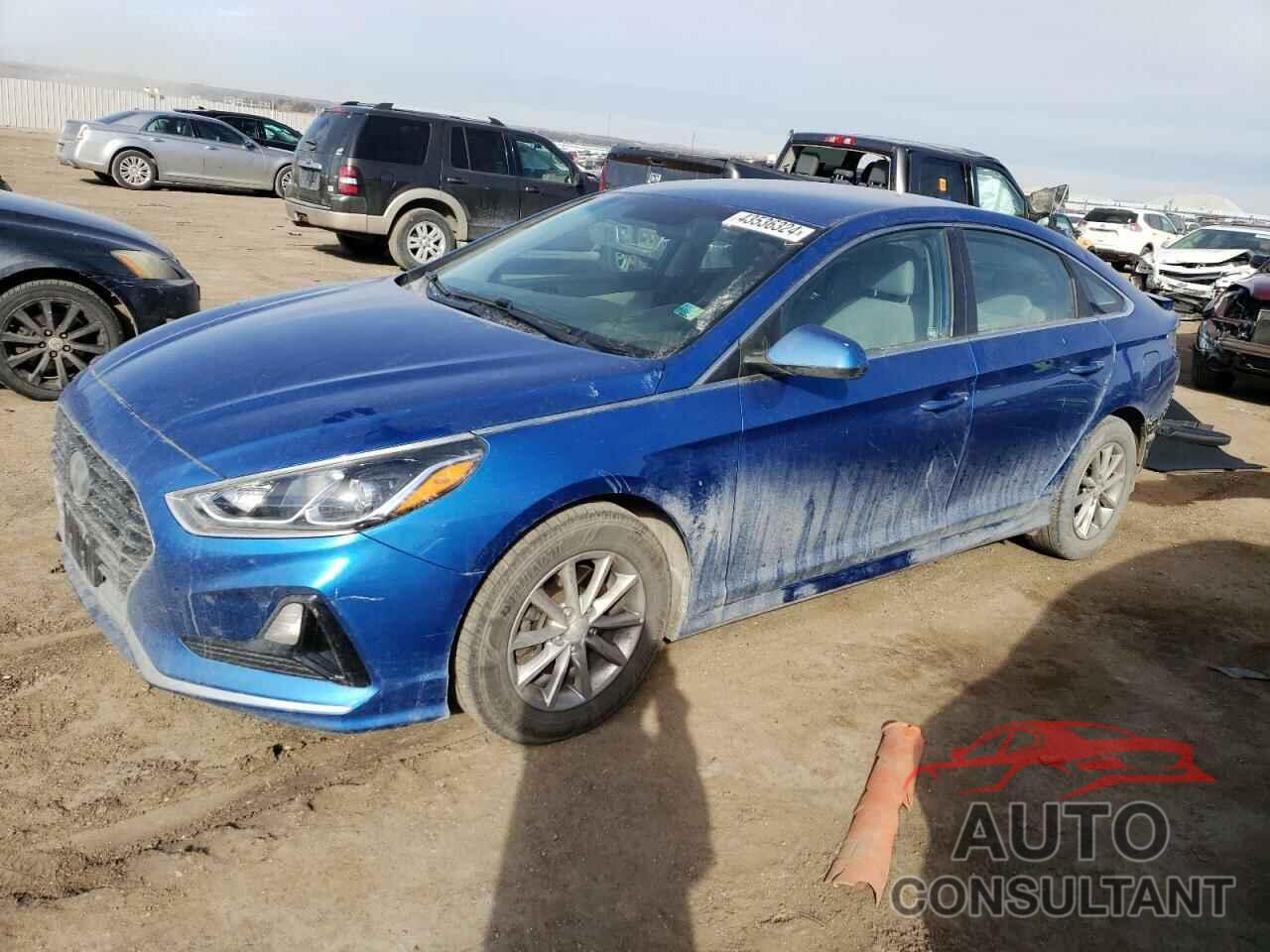 HYUNDAI SONATA 2018 - 5NPE24AF6JH653155