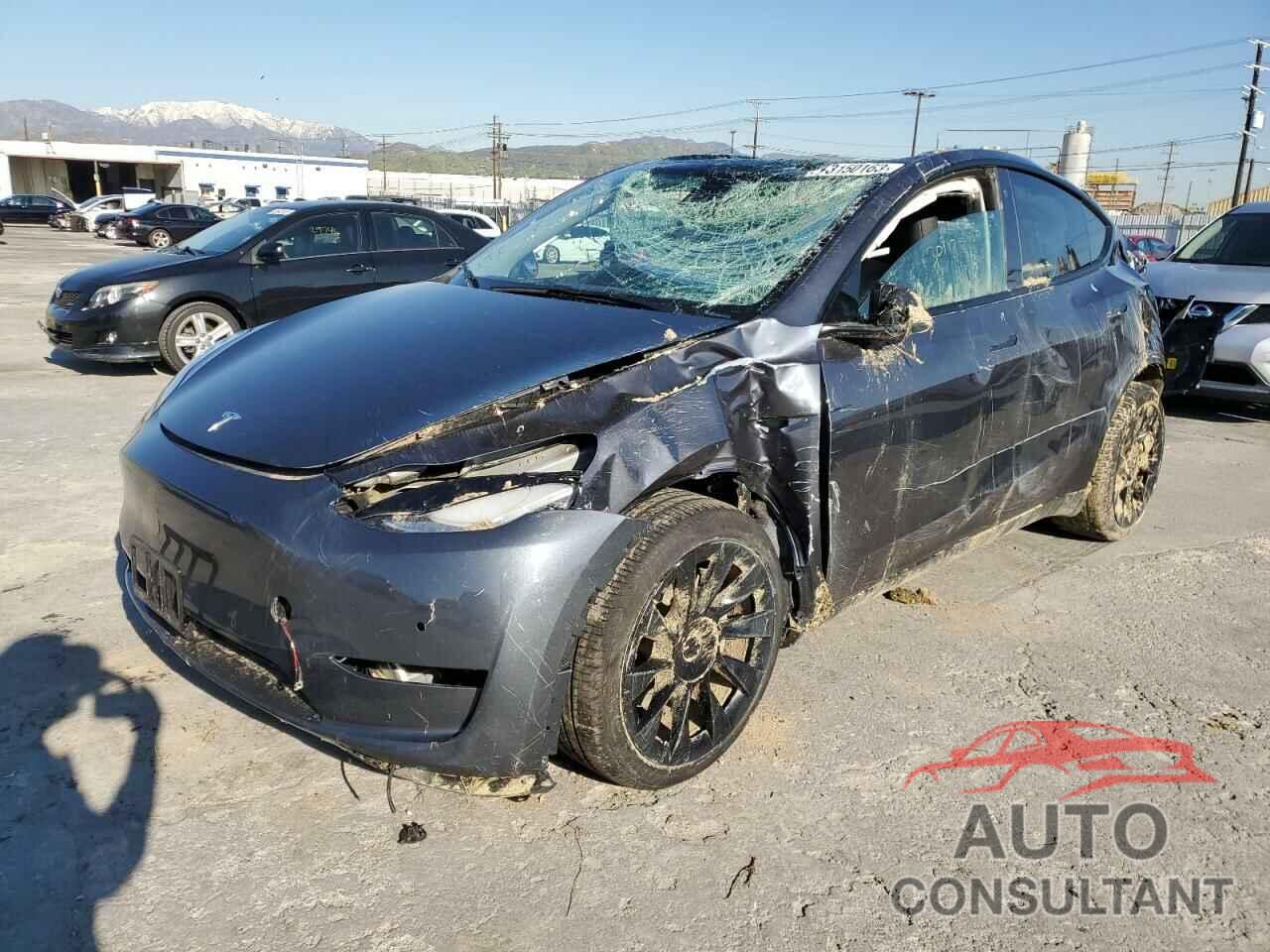 TESLA MODEL Y 2022 - 7SAYGDEE5NF410427