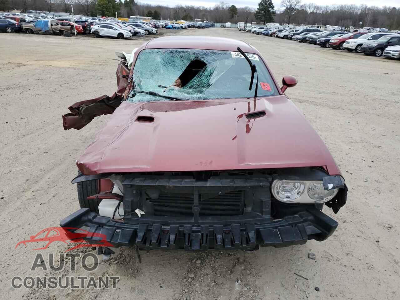 DODGE CHALLENGER 2014 - 2C3CDYAG2EH310282