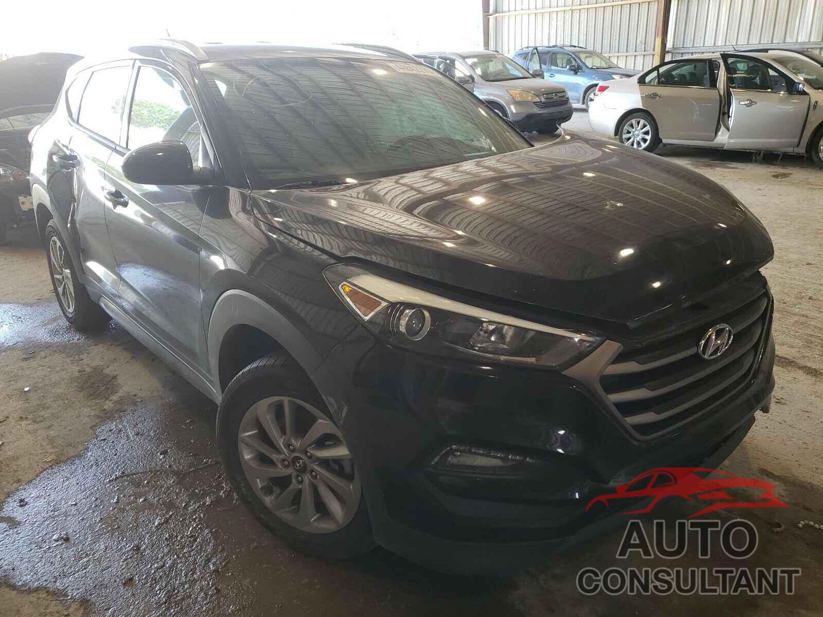 HYUNDAI TUCSON 2016 - KM8J33A42GU174181