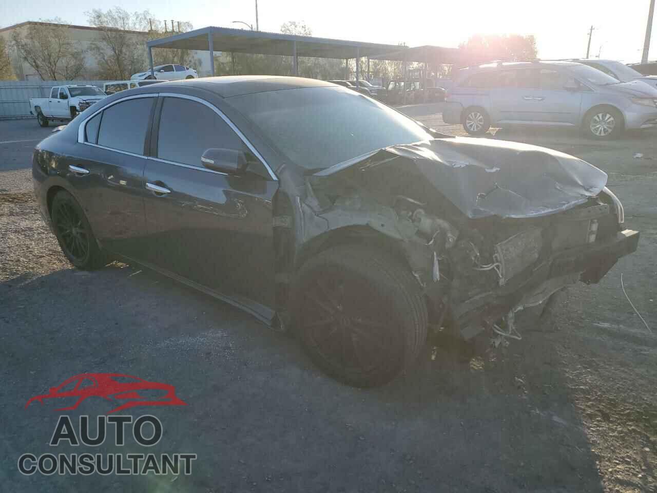 NISSAN MAXIMA 2009 - 1N4AA51E49C812279