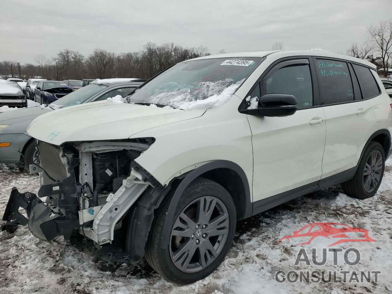 HONDA PASSPORT 2019 - 5FNYF8H50KB018227