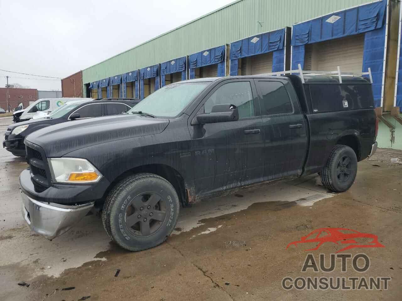 DODGE All Models 2010 - 1D7RV1GT3AS204382