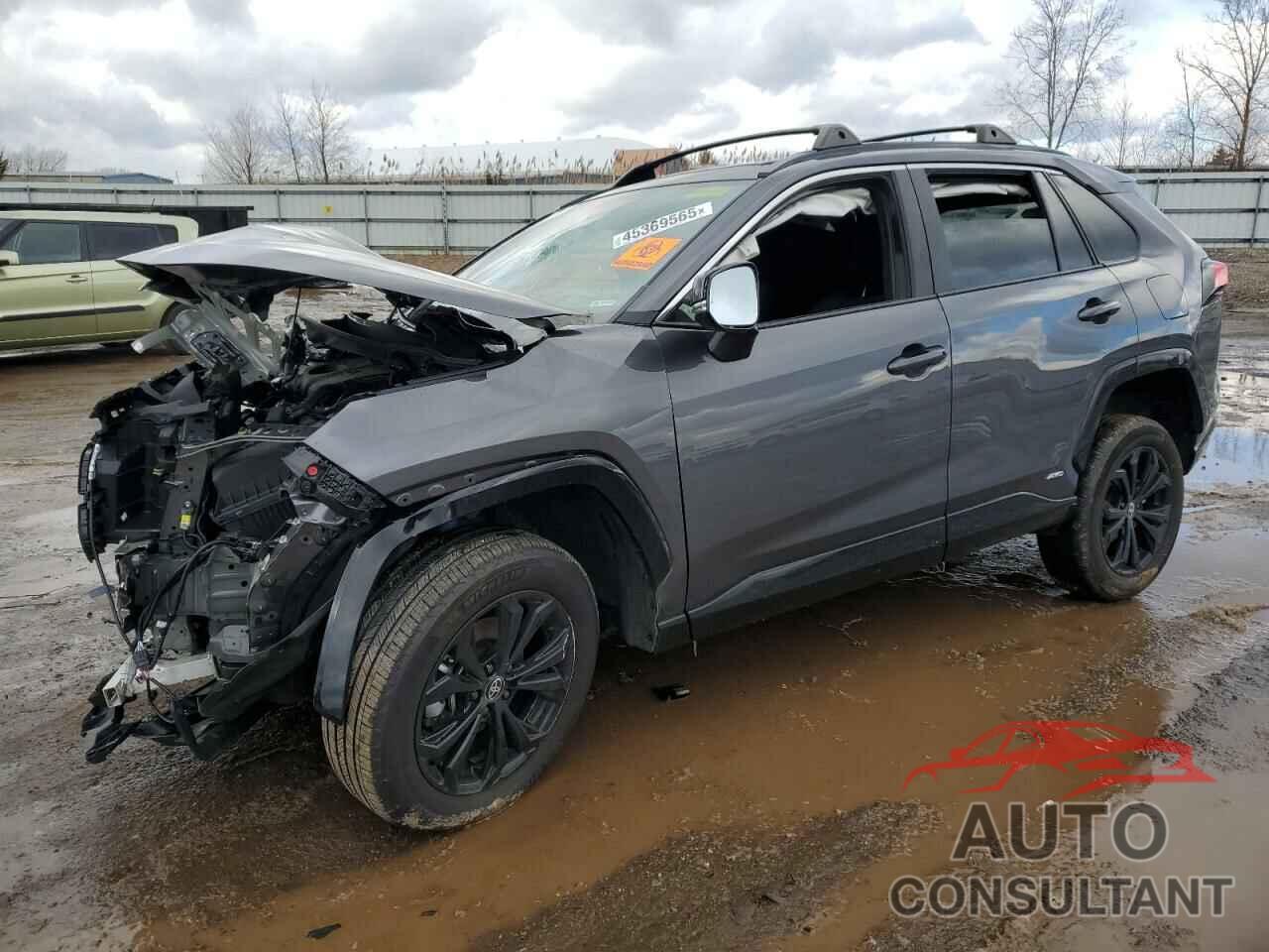 TOYOTA RAV4 2024 - 4T3T6RFV0RU146202