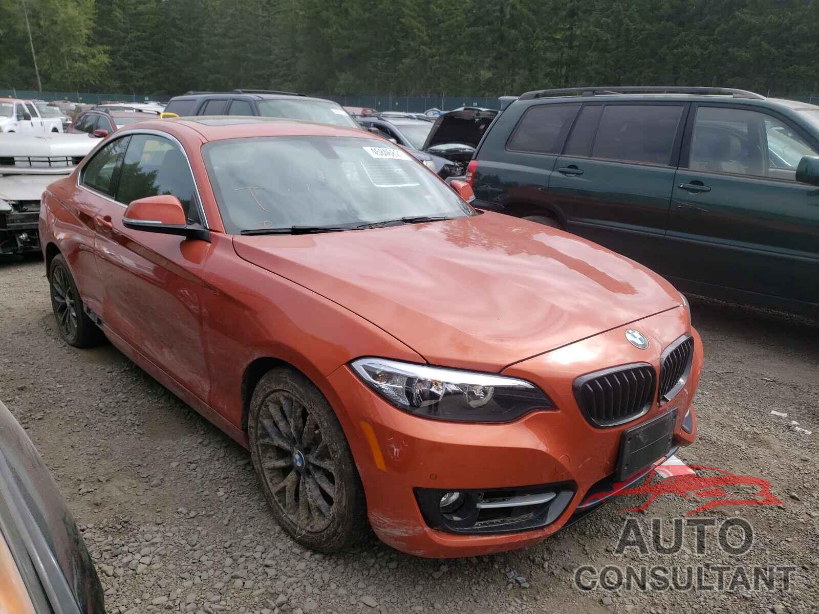 BMW 2 SERIES 2016 - WBA1F9C52GV742649