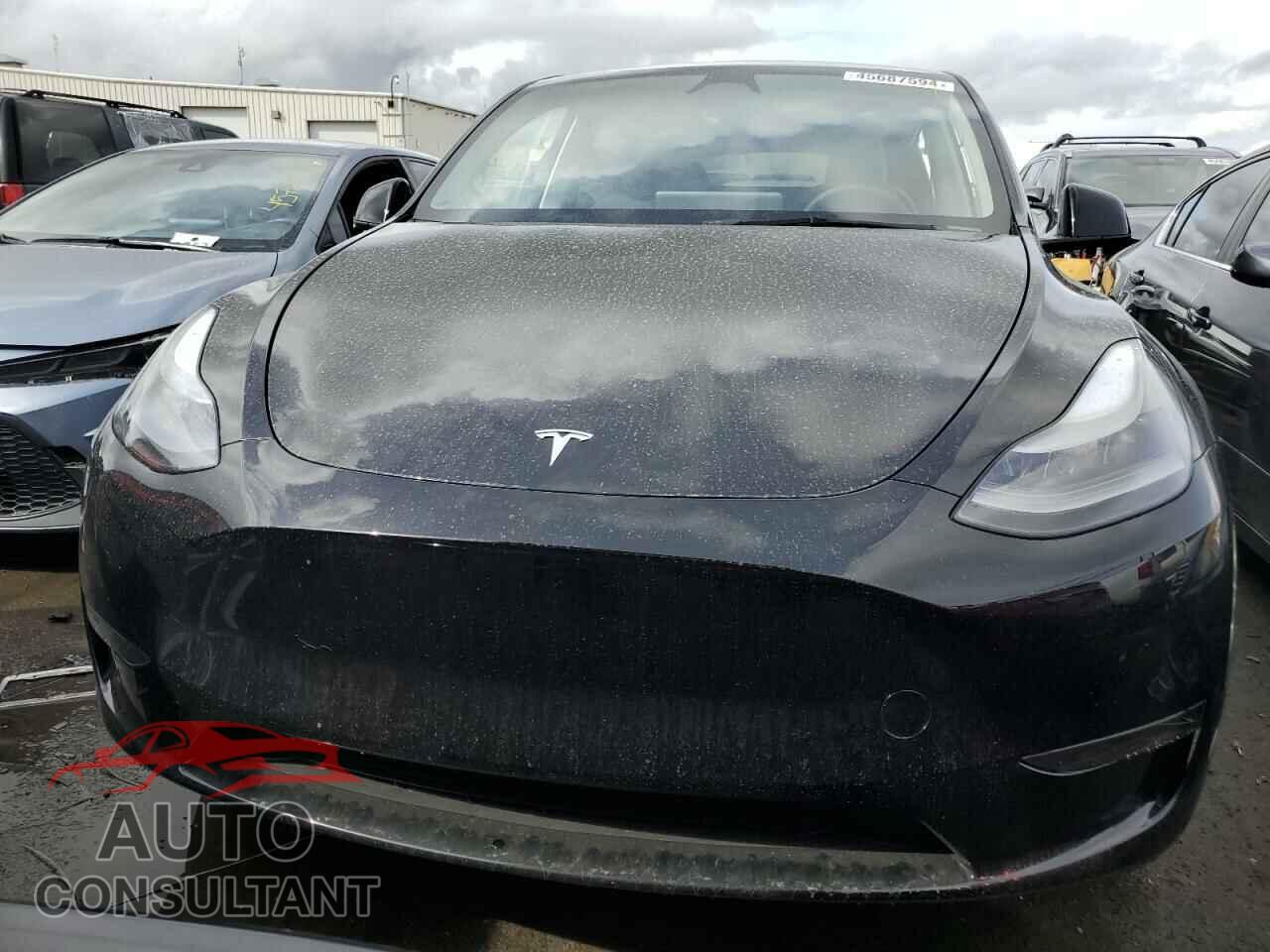 TESLA MODEL Y 2023 - 7SAYGDEDXPF965190