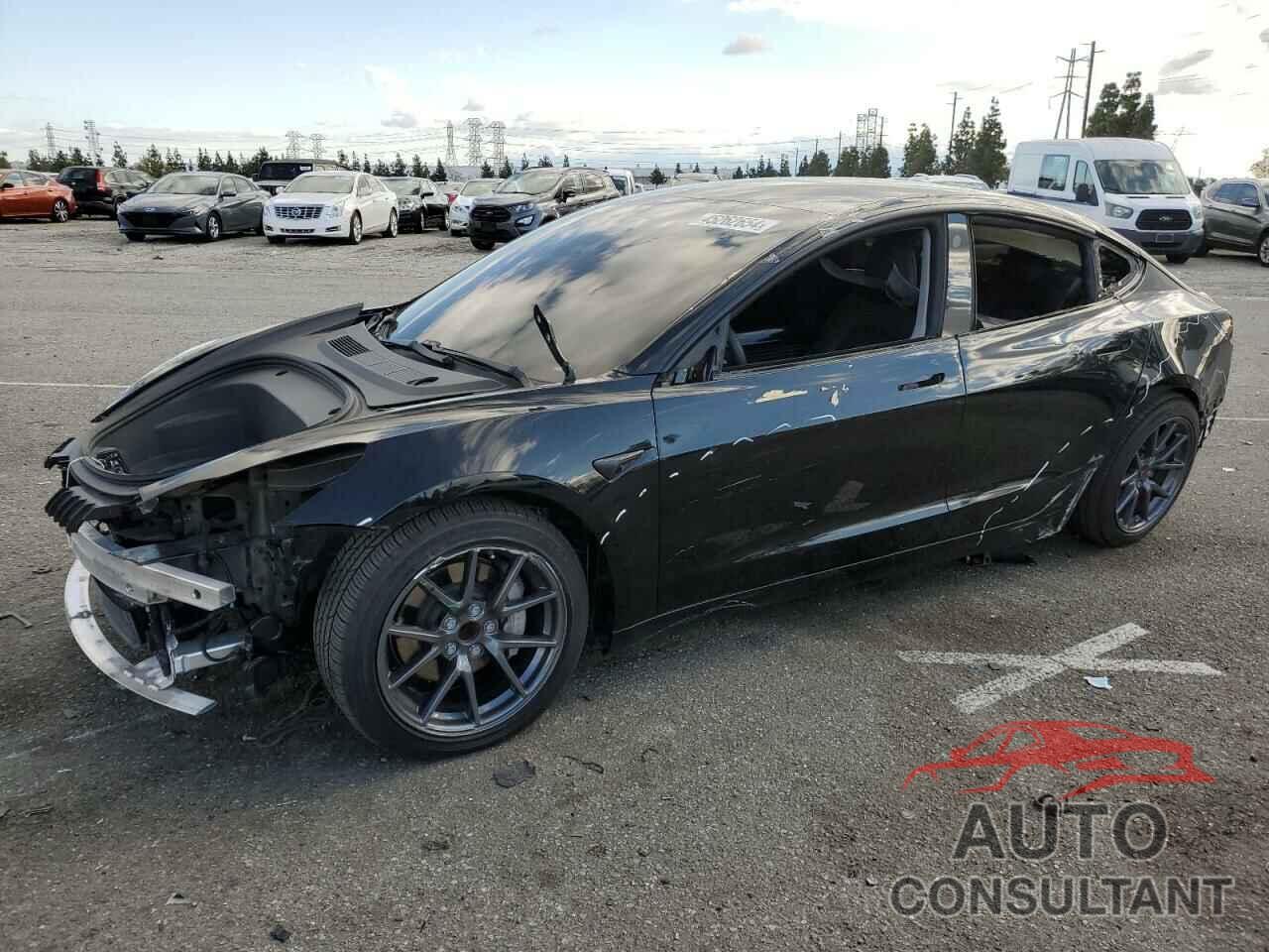 TESLA MODEL 3 2021 - 5YJ3E1EA7MF976385