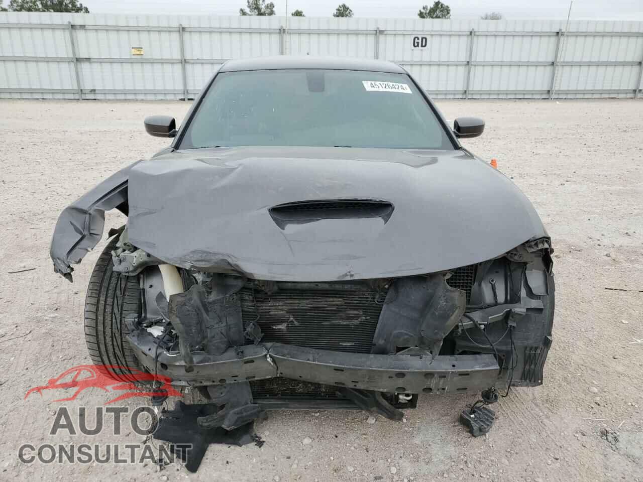 DODGE CHARGER 2019 - 2C3CDXGJ5KH603005