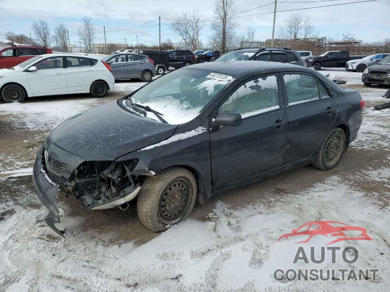 TOYOTA COROLLA 2010 - 2T1BU4EE2AC439829