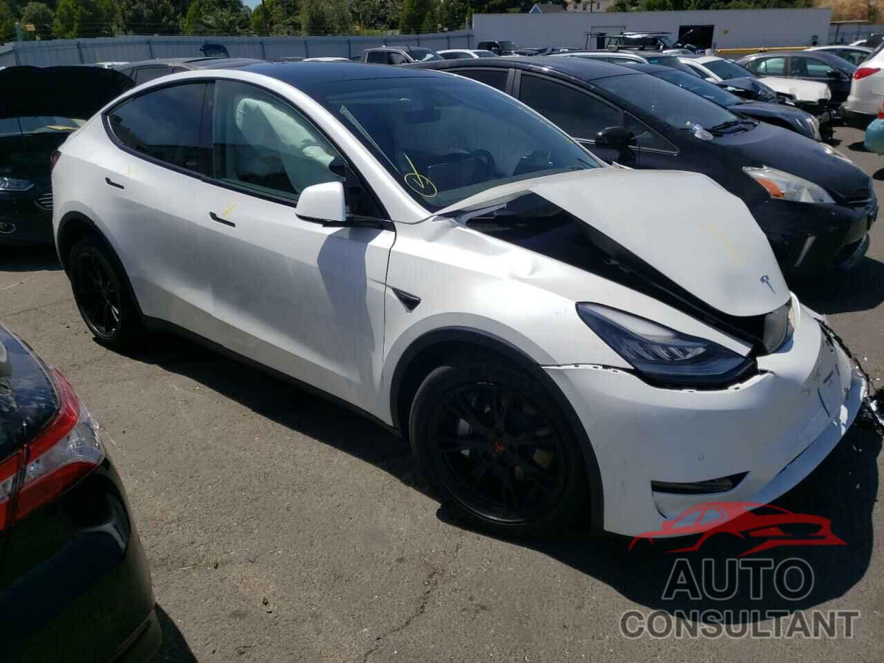 TESLA MODEL Y 2020 - 5YJYGDEE1LF025263