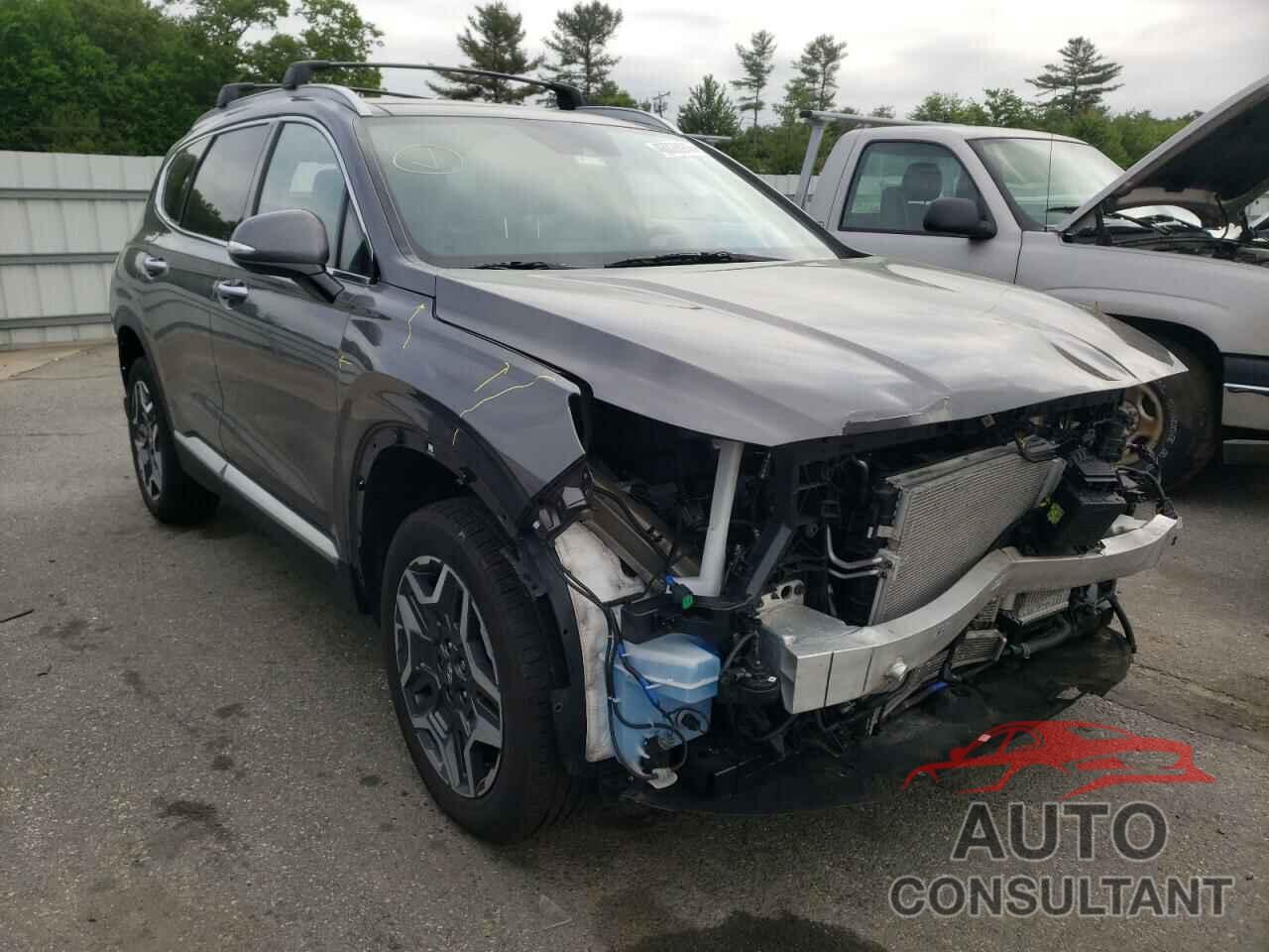 HYUNDAI SANTA FE 2022 - KM8S3DA13NU026733
