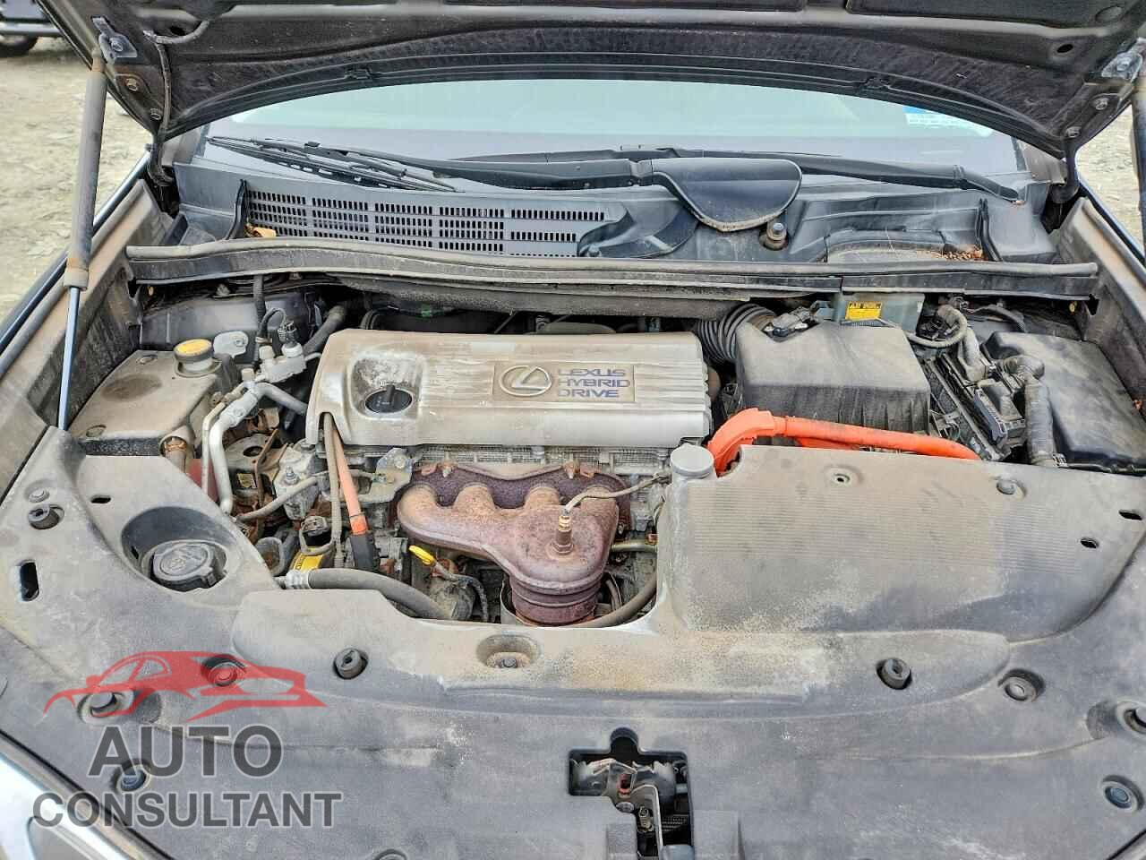 LEXUS HS 2010 - JTHBB1BA2A2018406