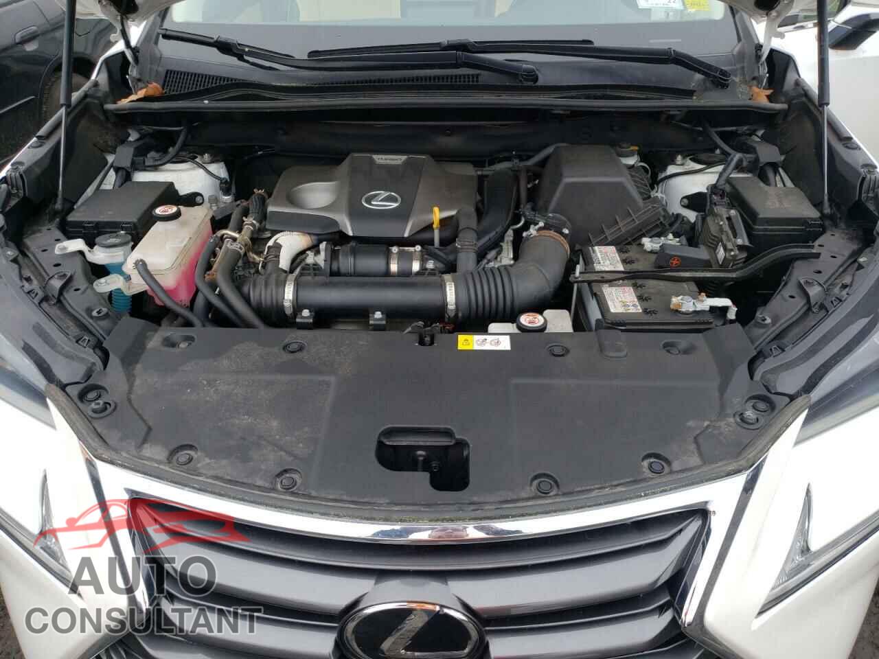 LEXUS NX 2017 - JTJBARBZ5H2138572