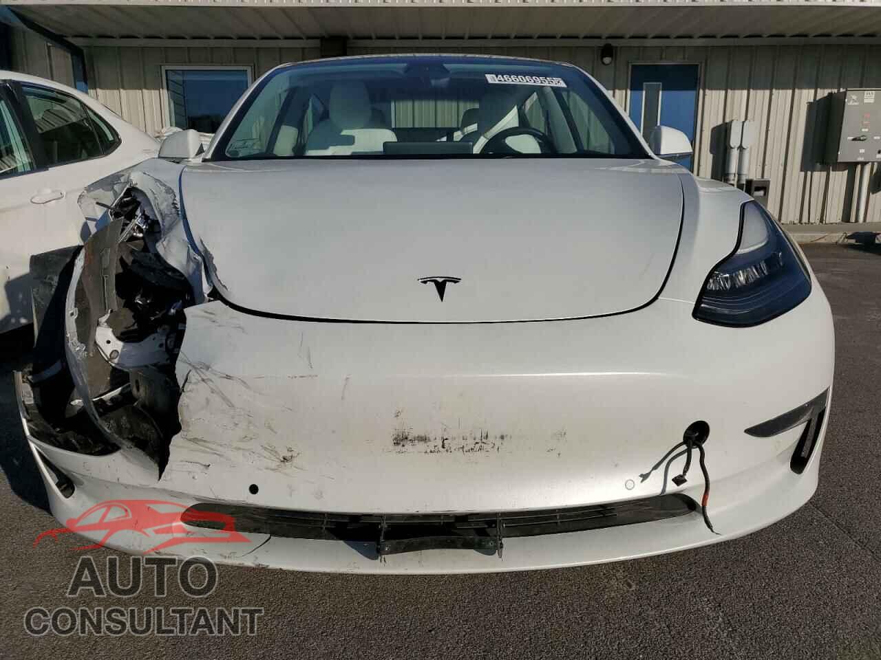 TESLA MODEL 3 2019 - 5YJ3E1EB3KF487553