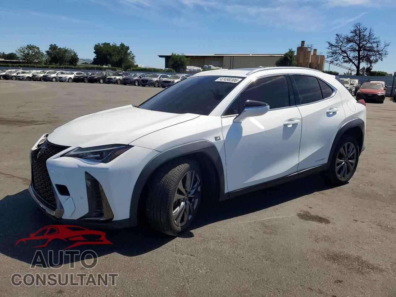 LEXUS UNKNOWN 2020 - JTHR9JBH2L2021705