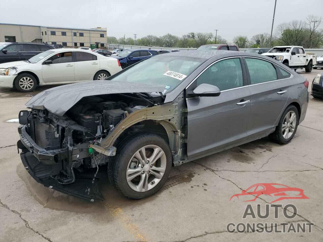 HYUNDAI SONATA 2019 - 5NPE34AFXKH738336