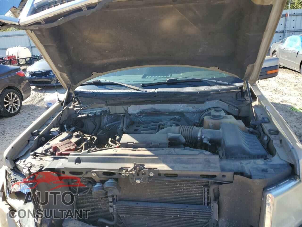 FORD F-150 2011 - 1FTFX1CF8BFB96135