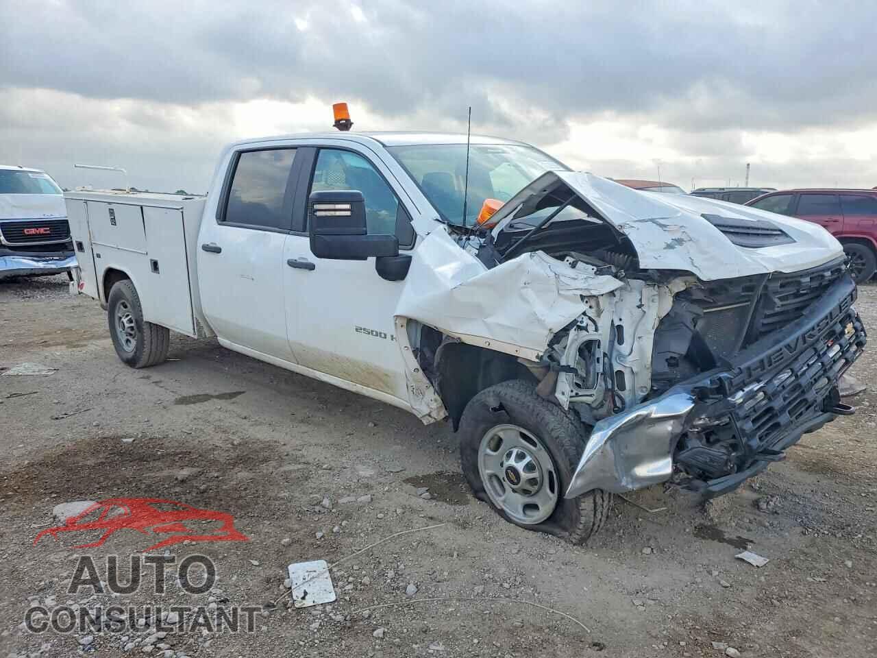 CHEVROLET UNKNOWN 2020 - 1GB1YLE70LF249618