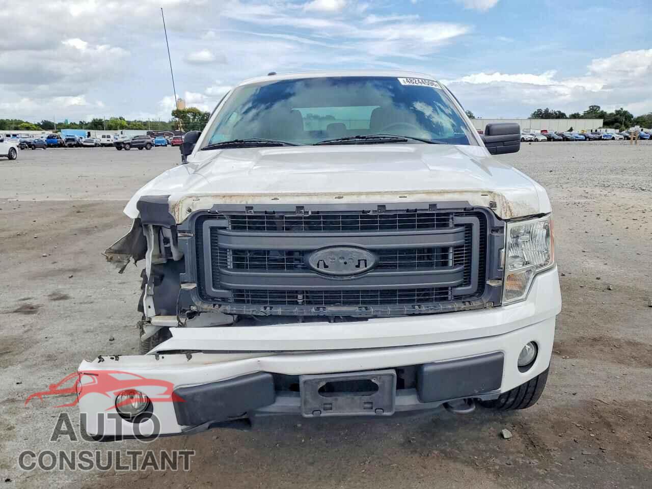 FORD F150 2013 - 1FTFX1EF4DFB48437