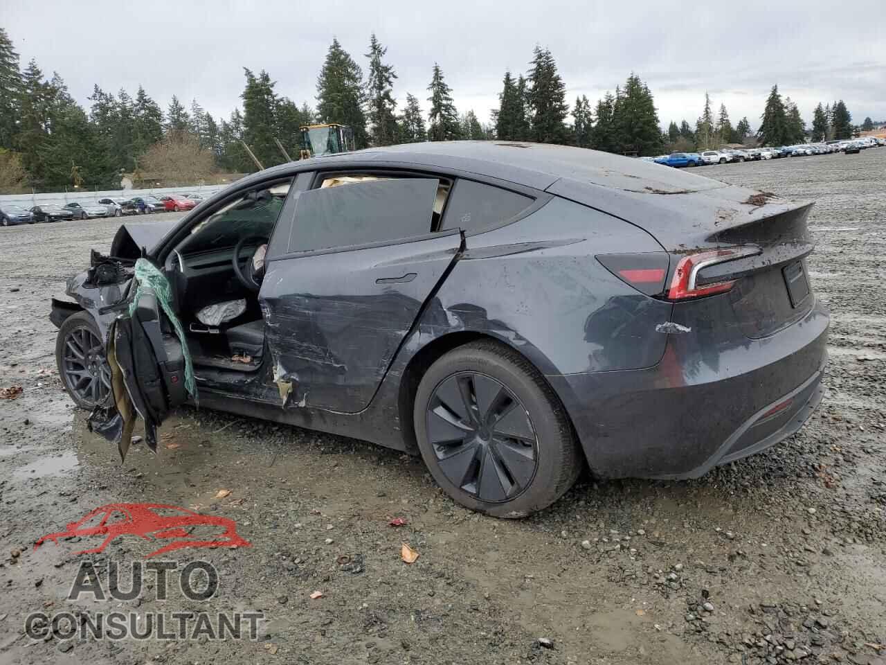 TESLA MODEL 3 2024 - 5YJ3E1EA9RF716917